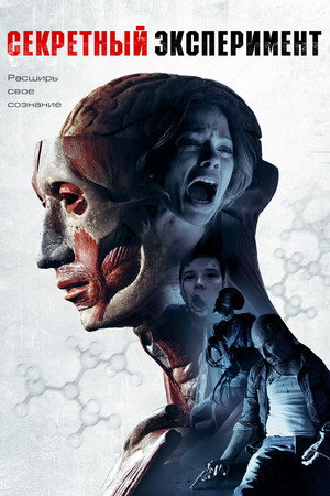 Poster for Секретный эксперимент