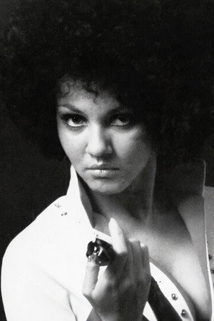 Cover image for Marki Bey