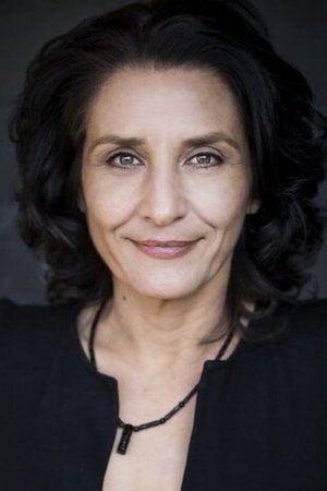 Cover image for Meral Perin