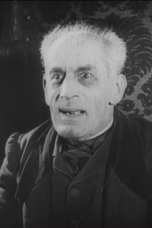 Cover image for Fritz Strassny