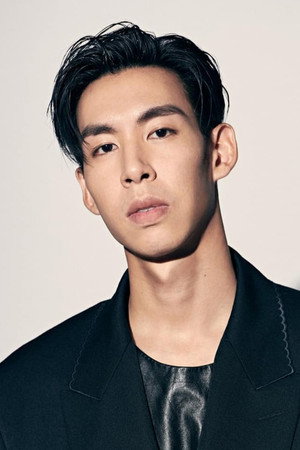 Cover image for Linus Wang