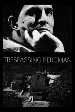 Poster for Нарушение границ Бергмана