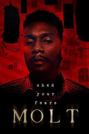 Poster for много