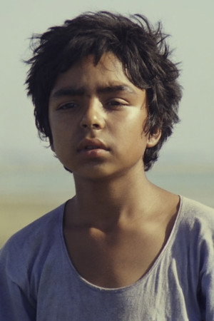 Cover image for Majid Niroumand