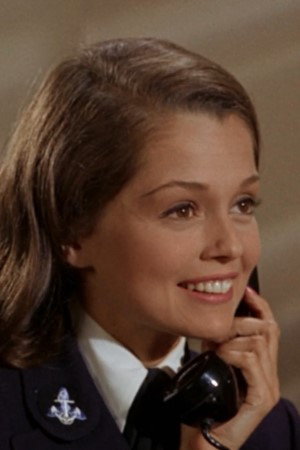 Cover image for Linda Carpenter