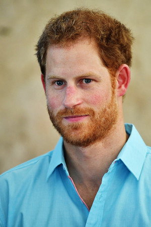 Cover image for Prince Harry, Duke of Sussex