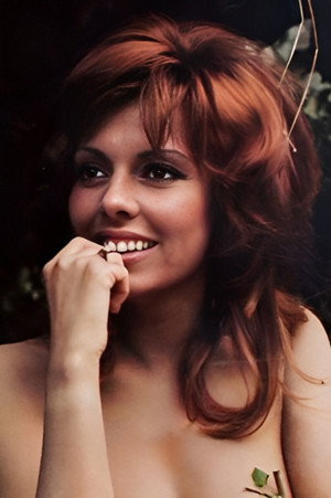 Cover image for Virginie Vignon
