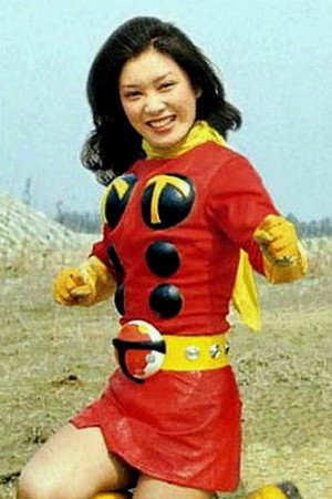 Cover image for 岡田京子