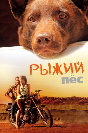 Poster for Рыжий пёс