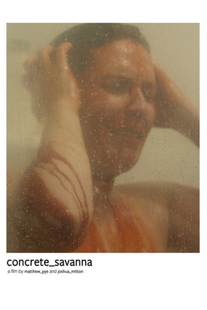 Poster for concrete_savanna