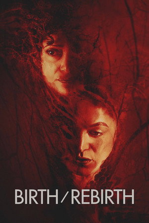 Poster for Рождение/перерождение