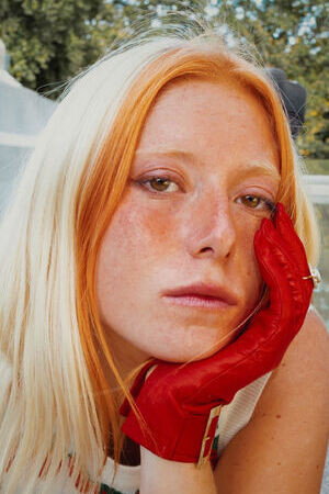 Cover image for Malva Vela