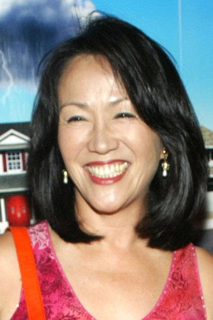 Cover image for Freda Foh Shen