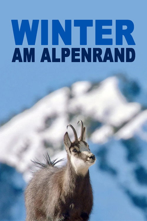 Poster for Белая зима