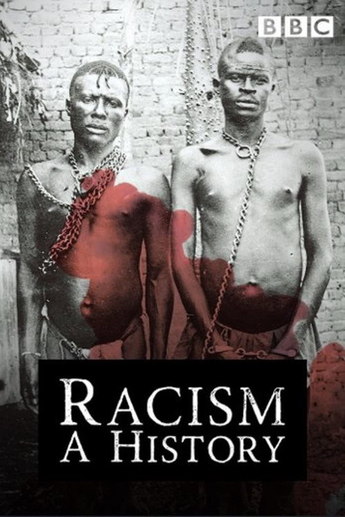 Poster for Racism: A History