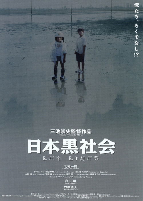 Poster for Ley Lines
