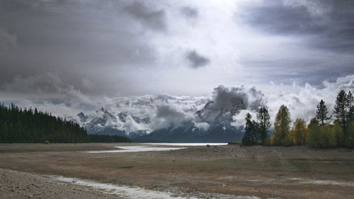 Backdrop for Население: ноль