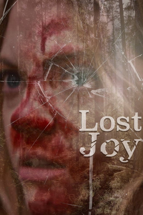 Poster for Lost Joy