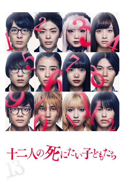 Poster for 12 Suicidal Teens