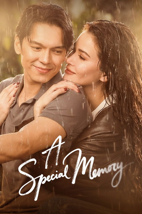 Poster for A Special Memory