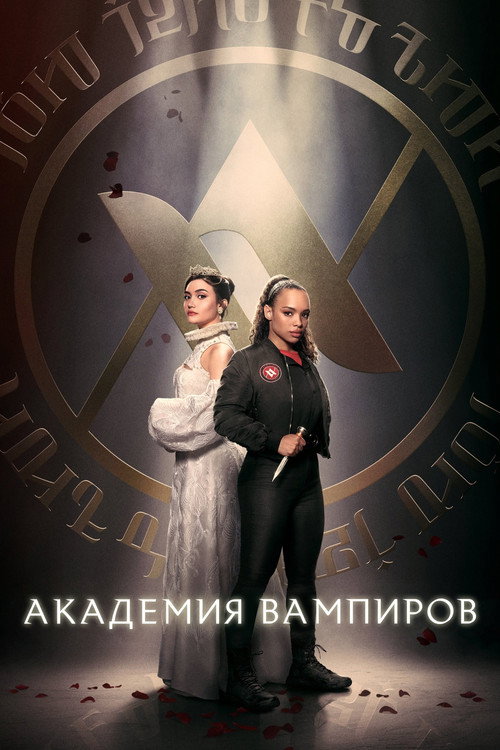 Poster for Vampire Academy