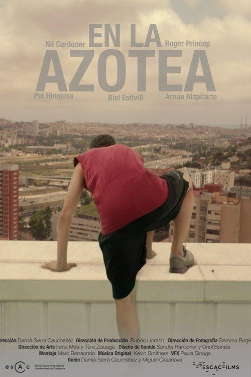 Poster for На крыше