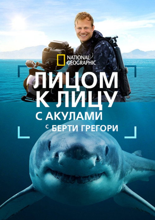 Poster for Sharks Up Close with Bertie Gregory