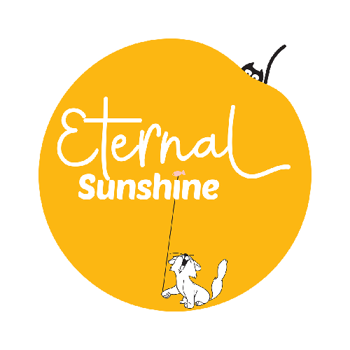 Каталог сериалов от студии Eternal Sunshine Productions - Рейтинги, отзывы, дата выхода на CUB