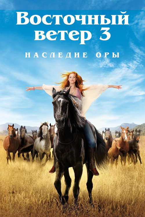 Poster for Windstorm 3