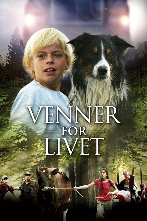 Poster for Поиск друзей