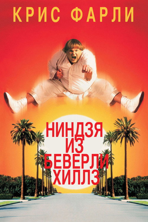 Poster for Ниндзя из Беверли Хиллз