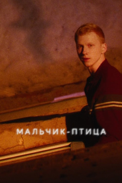 Poster for Bird Boy