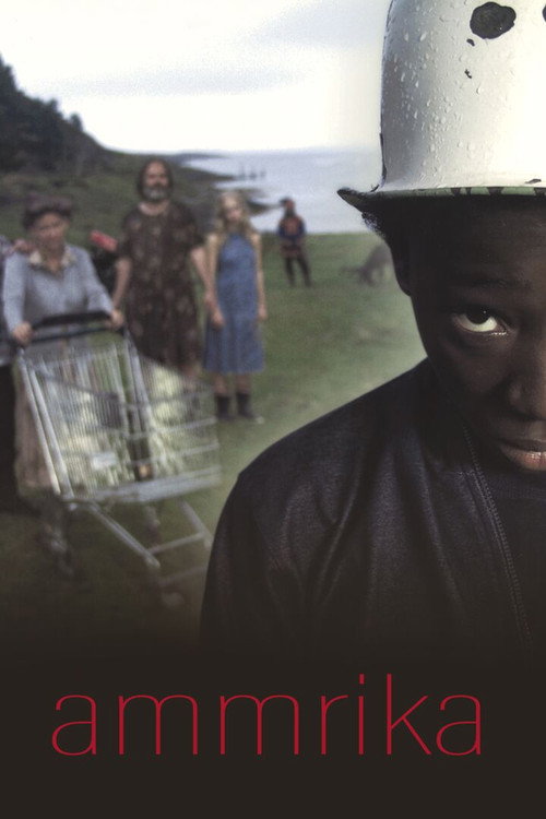 Poster for The Black Lapp