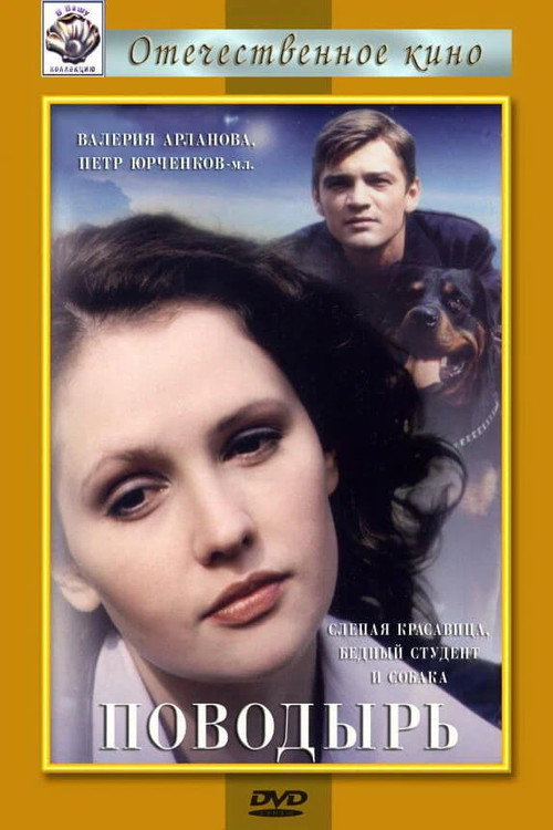 Poster for The Guide