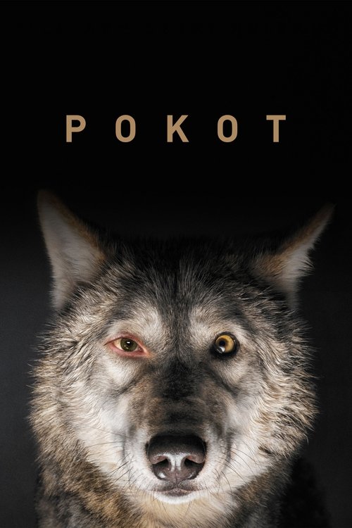 Poster for Spoor