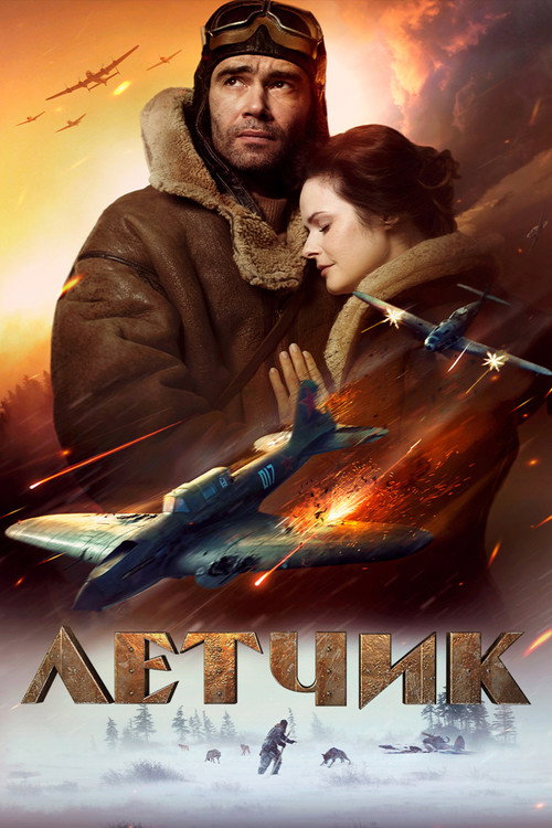 Poster for The Pilot: A Battle for Survival
