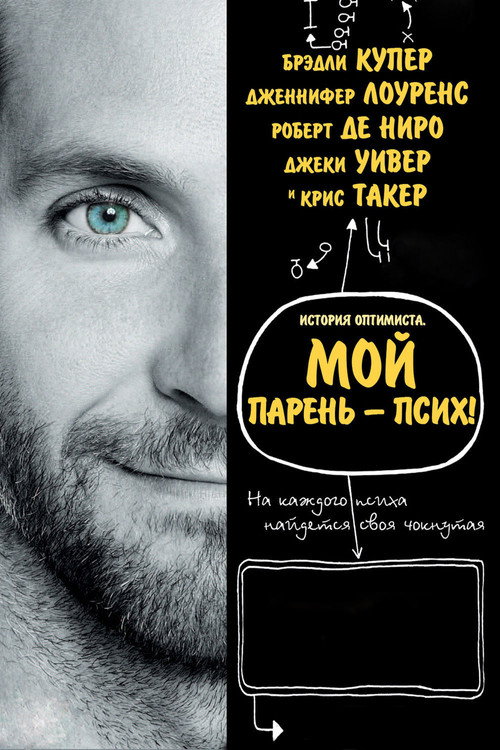 Poster for Silver Linings Playbook