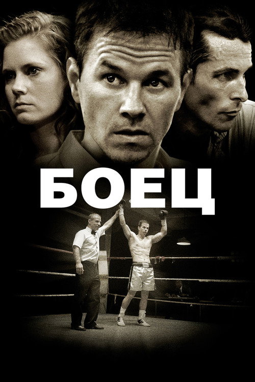 Poster for The Fighter