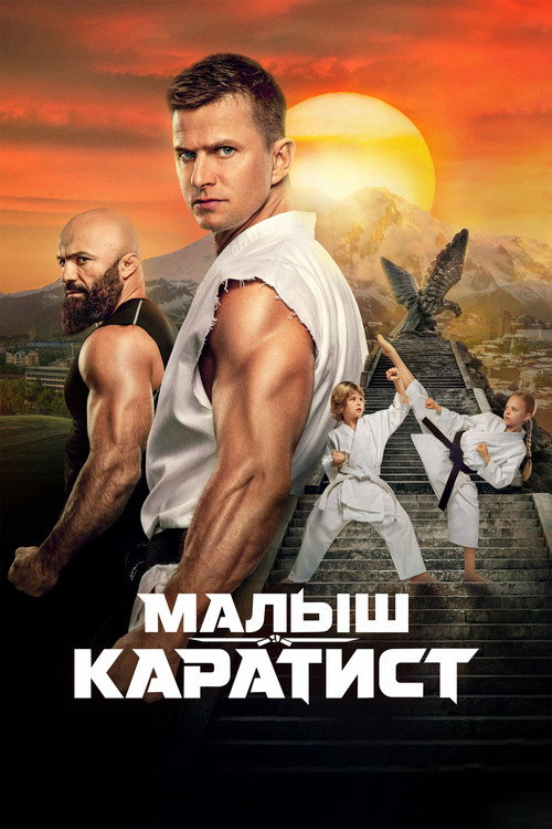 Poster for The Next Karate Kid