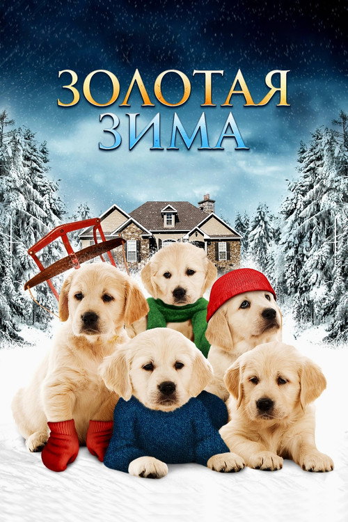 Poster for Golden Winter