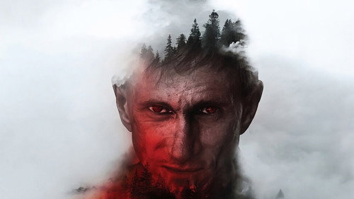 Backdrop for Незнакомец в лесу