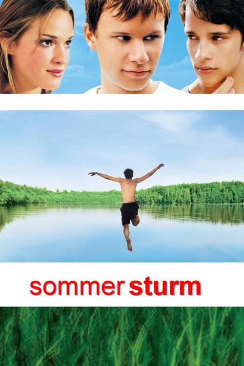 Poster for Summer Storm