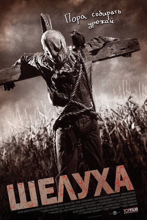 Poster for Шелуха