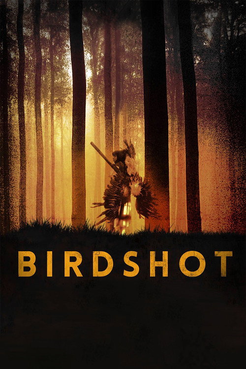 Poster for Дробь