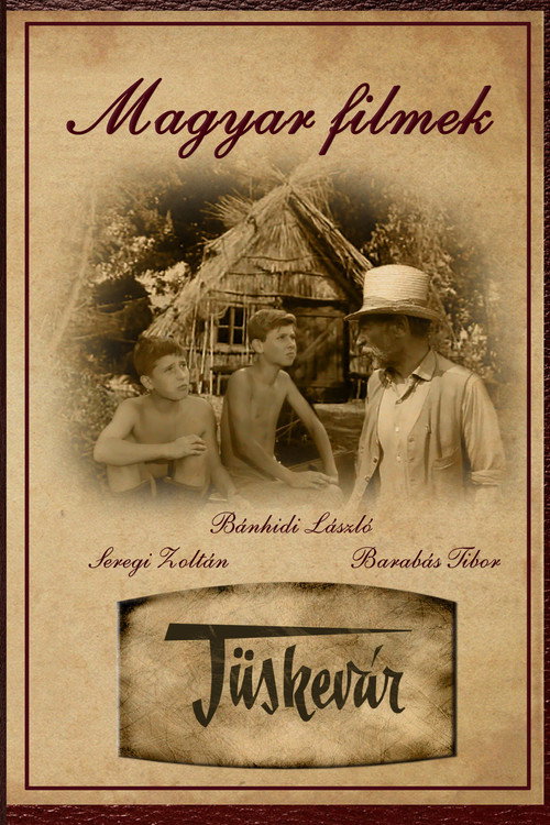 Poster for Терновая крепость