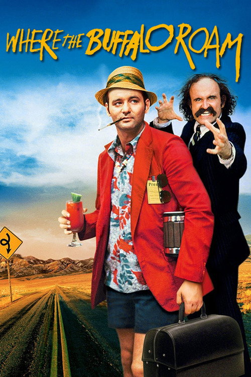Poster for Там, где бродит бизон