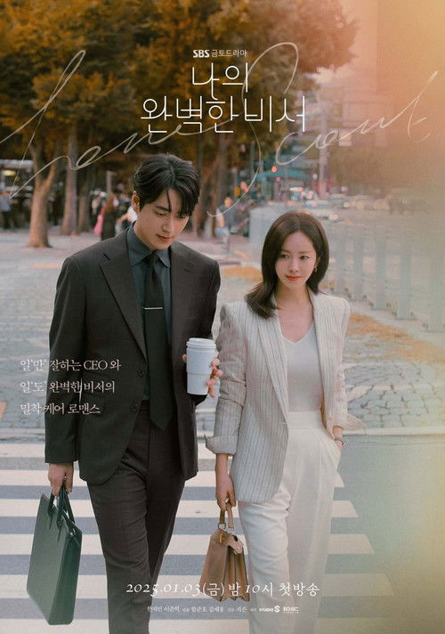 Poster for Мой идеальный секретарь