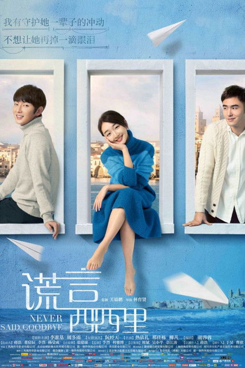 Poster for Never Said Goodbye