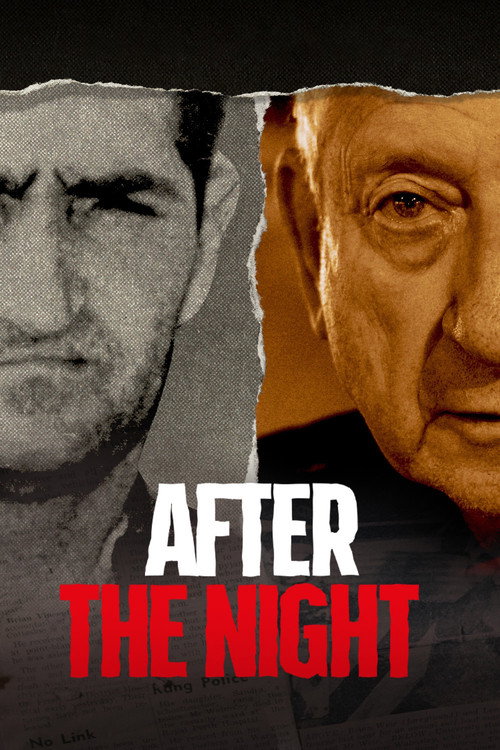 Poster for Ночной гость