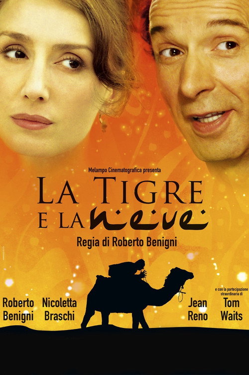Poster for Тигр и снег